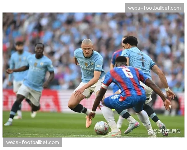 水晶宫0-2不敌纽卡斯尔，遭遇主场两连败